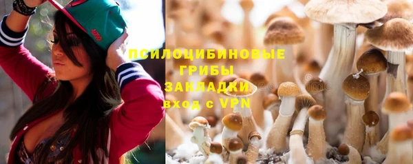 бутират Алексин