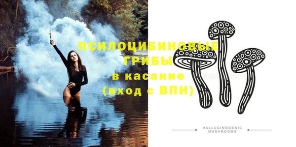 прущие крисы Алзамай