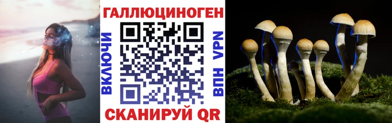 Псилоцибиновые грибы прущие грибы  как найти   Фрязино 