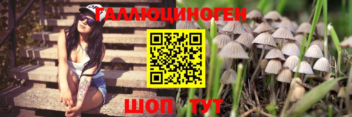 Фрязино  Галлюциногенные грибы Psilocybe  Галлюциногенные грибы прущие грибы  Вход с VPN 